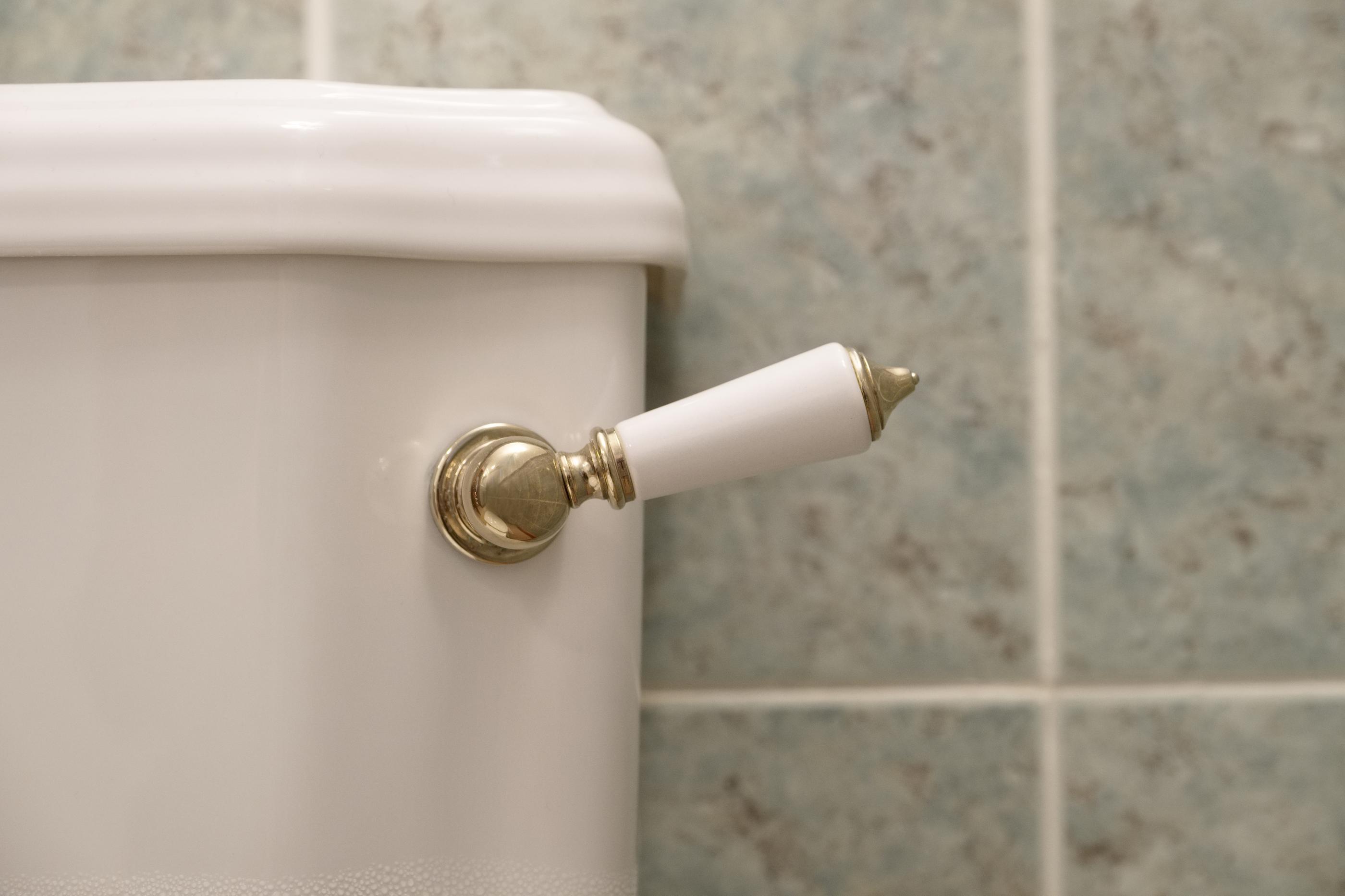 What to Do When Your Toilet is Overflowing