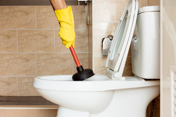 Common Causes of Toilet Clogs