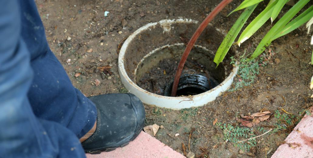 How Often Should My Sewer Lines Be Cleaned in Nashville?